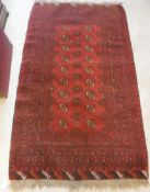 A Turkamen rug with repeating elephant foot medallions on a red ground,