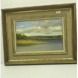 P COWLING "The View from the Bathing Pool Inis Daca, Lough Dery ?", a lake landscape, oil on canvas,