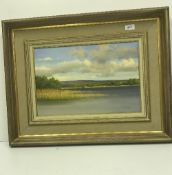 P COWLING "The View from the Bathing Pool Inis Daca, Lough Dery ?", a lake landscape, oil on canvas,