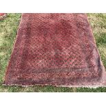 A Tekke Bokhara rug with all over elephant foot medallion decoration on a red ground,