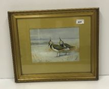 J HAMMOND HARWOOD "Pair of Lapwings on Beach", watercolour, heightened with white,