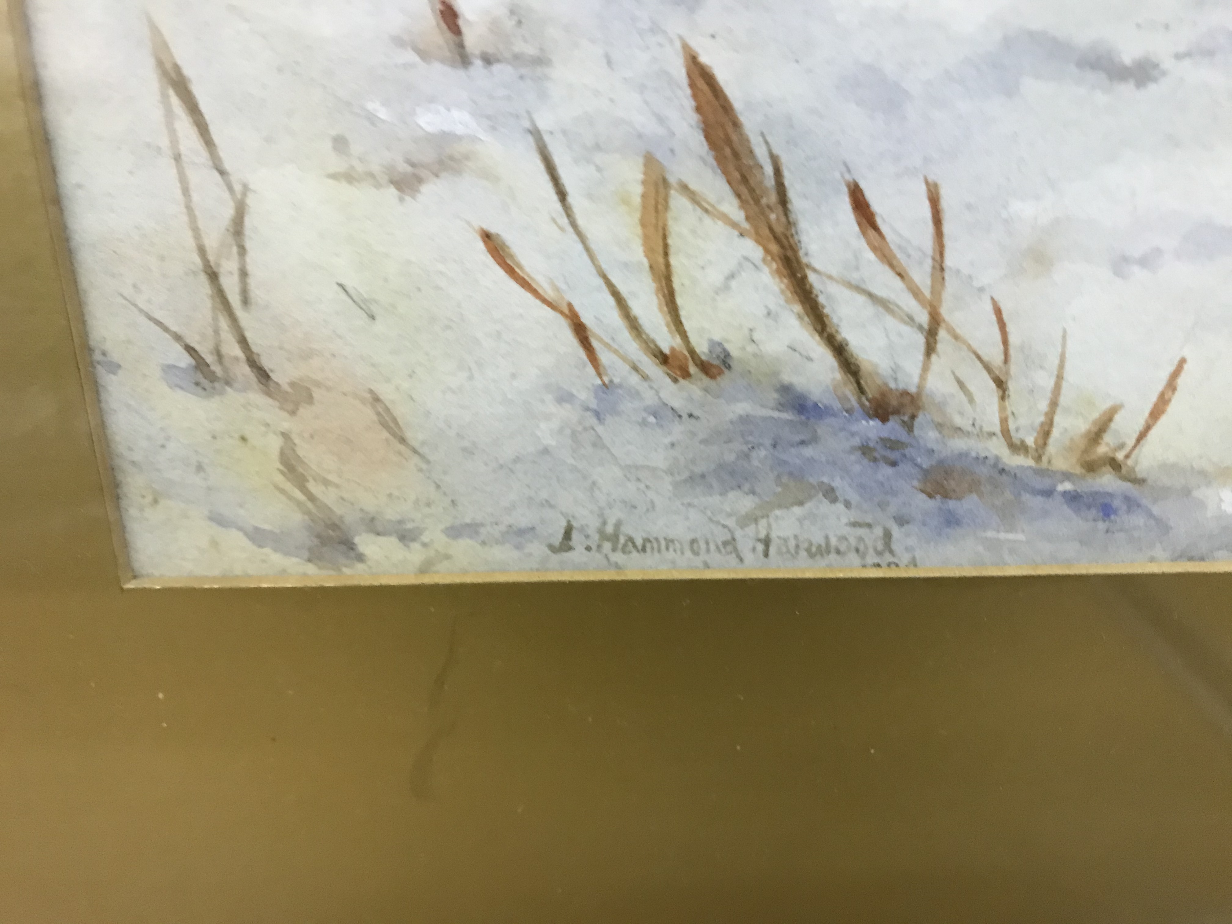 J HAMMOND HARWOOD "English Grey Legged Partridge in Snow", watercolour heightened with white, - Image 15 of 18