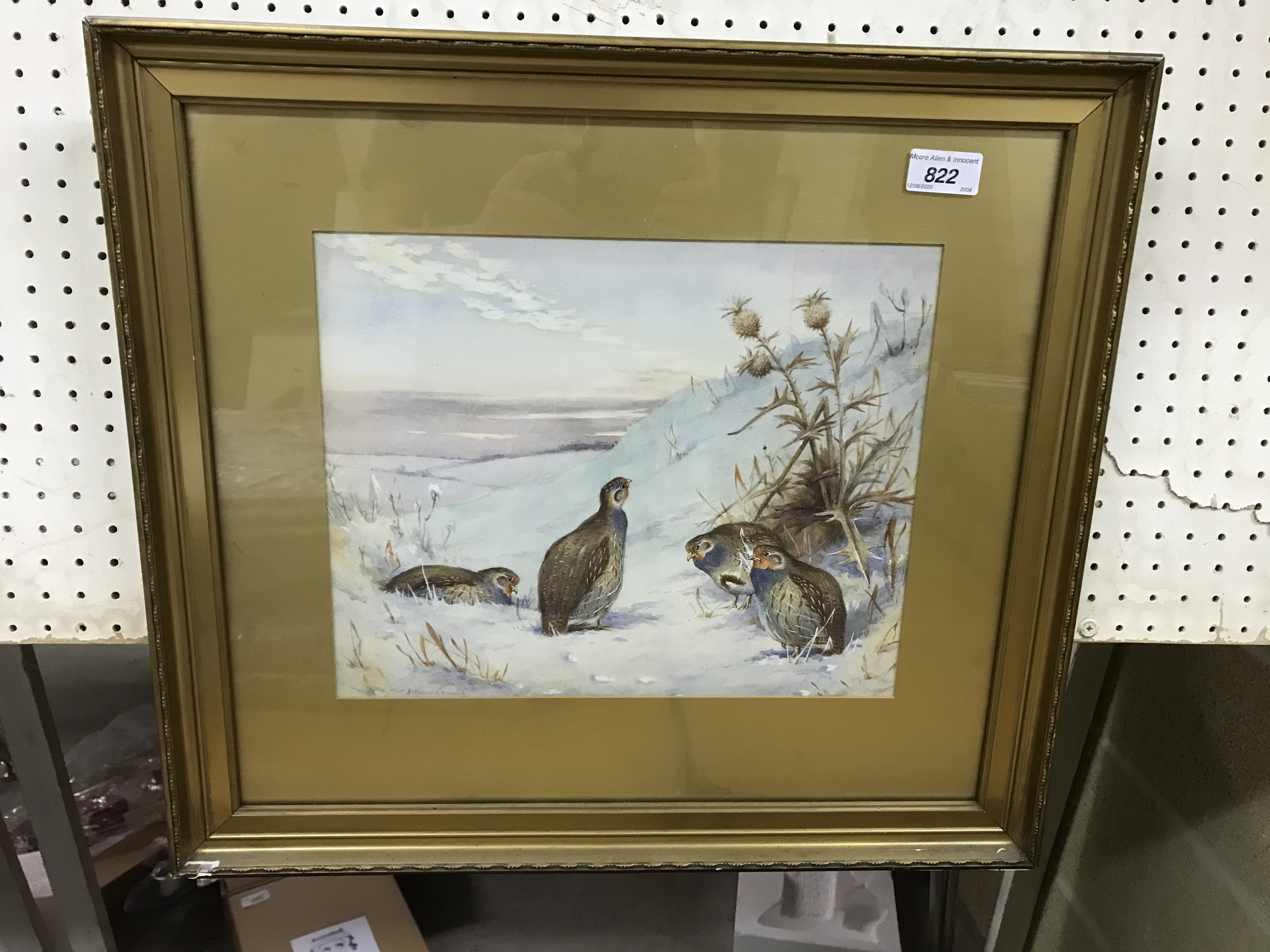 J HAMMOND HARWOOD "English Grey Legged Partridge in Snow", watercolour heightened with white, - Image 2 of 18