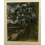 PAUL GAISFORD "Landscape with Tree in Foreground", watercolour heightened with white,