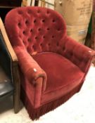 A circa 1900 red velvet upholstered buttoned tub scroll arm chair on square tapered legs 78 cm high