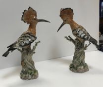 A pair of 19th Century Meissen figures of Hoopoes perched on tree stumps,