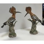 A pair of 19th Century Meissen figures of Hoopoes perched on tree stumps,