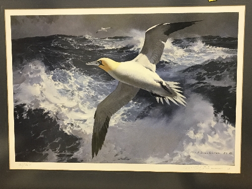 AFTER KEITH SHACKLETON "Gannets over stormy seas" limited edition colour print No'd 135/650 signed - Image 2 of 2