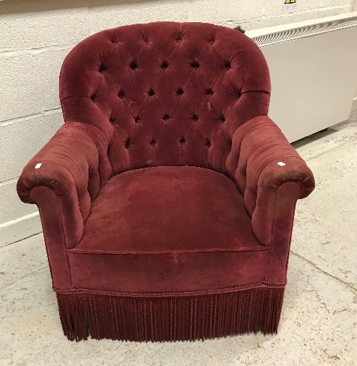 A circa 1900 red velvet upholstered buttoned tub scroll arm chair on square tapered legs 78 cm high