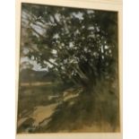 PAUL GAISFORD "Landscape with Tree in Foreground", watercolour heightened with white,