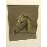 PETER RASMUSSEN "Pony" a portrait head study, pastel,