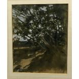 PAUL GAISFORD "Landscape with Tree in Fo