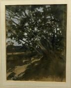 PAUL GAISFORD "Landscape with Tree in Fo