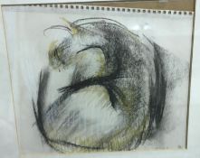 CAROLINE WATERLOW "An old gumbie cat" charcoal and pastel,