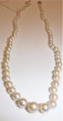 A graduated pearl single strand necklace with 18 carat white gold and platinum diamond mounted