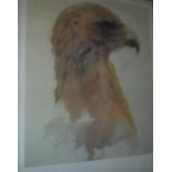AFTER JONATHON POOLE "Study of an eagle's head", signed print,