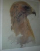 AFTER JONATHON POOLE "Study of an eagle's head", signed print,