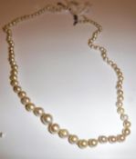 A pearl single strand necklace with white metal diamond encrusted barrel shaped clasp,