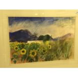 THEA DONIACH "Sunflowers with white washed building and hills in background" watercolour heightened