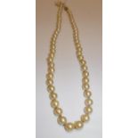 A single strand cultured pearl necklace, 61 pearls approx 6.