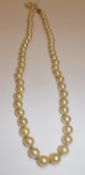 A single strand cultured pearl necklace, 61 pearls approx 6.