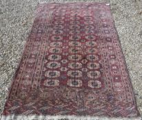 A Bokhara rug, the central panel set with repeating elephant foot medallions on a red ground,