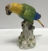 A 19th Century Meissen figure of a parrot in the manner of J.J.
