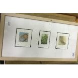 A collection of various modern watercolours,