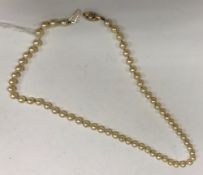 A single strand cultured pearl necklace, 61 pearls approx 6.