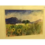 THEA DONIACH "Sunflowers with white wash