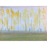 ARR DRUIE BOWETT (1924-1998) Landscape with yellow trees, watercolour and crayon, signed and