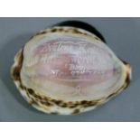 A cowrie shell, the top cameo cut with: 'Eveline Kate Harmsworth, born May 21st 1867', foliate