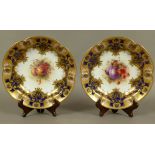 A FINE PAIR OF SHAPED CIRCULAR CABINET PLATES by H Martin, the centres painted with blossom, peaches