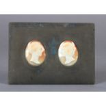 A FINE PAIR OF LATE 19TH/EARLY 20TH CENTURY OVAL SHELL CAMEOS, portrait heads of a gentleman and his