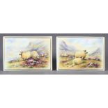 A PAIR OF ROYAL WORCESTER RECTANGULAR PLAQUES painted with sheep in extensive misty moorland