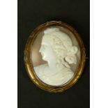 A VICTORIAN SHELL CAMEO BROOCH in 9ct gold, the oval classical female portrait with dressed hair