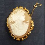 A Victorian shell cameo brooch, the oval classical female portrait collet set and raised against