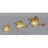 A set of three handpainted plaster flying ducks, 29cm maximum, 18cm minimum