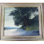 David James - landscape, oil on canvas, signed lower left and dated 69, 24.5cm x 29cm, framed