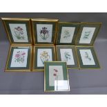 A set of four floral prints including daffodil, iris, dutch tulips and roses, green card mounts,