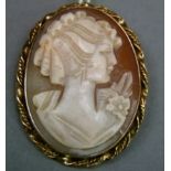 A shell cameo brooch in 9ct gold, the oval female portrait collet set within a twisted wire