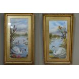English Victorian School - a pair of swans on a lake with iris and bullrushes, 57cm x 25cm, gilt