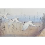 ARR ALLEN WILLIAM SEABY (1867-1953) Mute Swans in flight, coloured woodcut, signed in pencil to