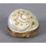 A LATE 19TH CENTURY GILT METAL MOUNTED SHELL SNUFF BOX, hinged lid with foliate cast border, 4cm