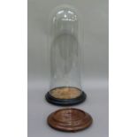 A glass dome on ebonised wooden base, overall 48cm, together with a mahogany circular base on bun