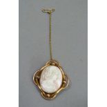 A Victorian coral cameo brooch in 9ct rose gold, the oval female portrait collet set within a