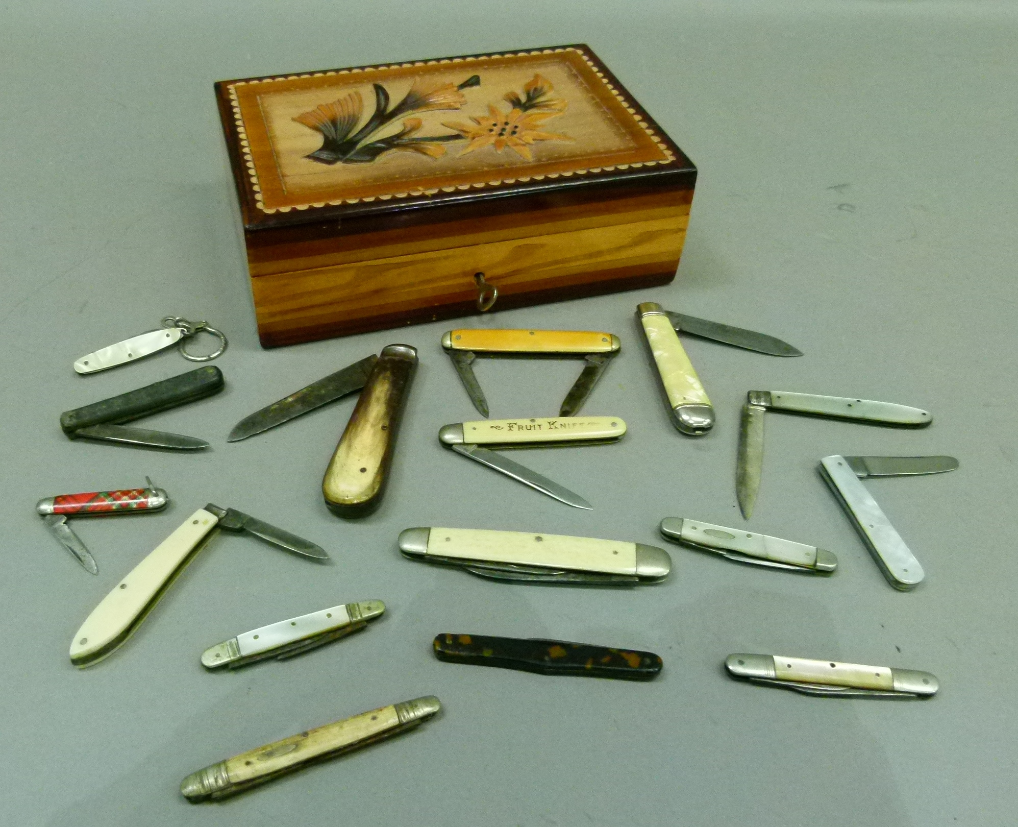 A collection of pen and fruit knives, including horn, ivory, faux tortoiseshell, ivorine, mother