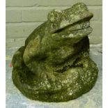 A garden ornament, reconstituted stone frog, 40cm high approximately