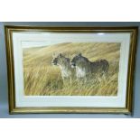 By and after Robert Bateman, African Amber Lioness pair, number 876 of 950, signed artist proof,