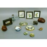 A burr walnut shell carved trinket box, three miniature paintings on panels, kingfisher, spring